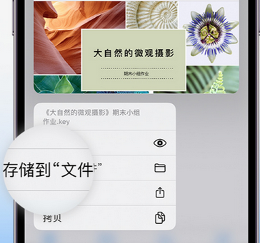 岗巴apple维修中心分享iPhone文件应用中存储和找到下载文件