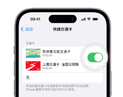 岗巴apple维修点分享iPhone上更换Apple Pay快捷交通卡手绘卡面 