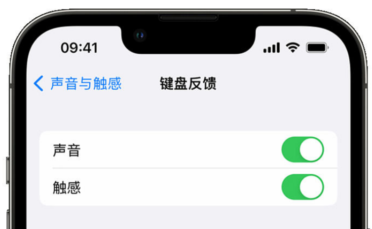 岗巴苹果手机维修分享iPhone 14触感键盘使用方法 