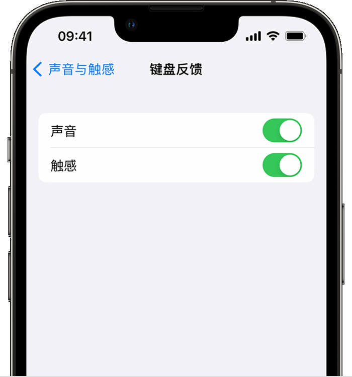 岗巴苹果14维修店分享如何在 iPhone 14 机型中使用触感键盘 