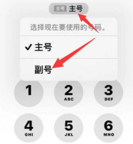 岗巴苹果14维修店分享iPhone 14 Pro Max使用副卡打电话的方法 