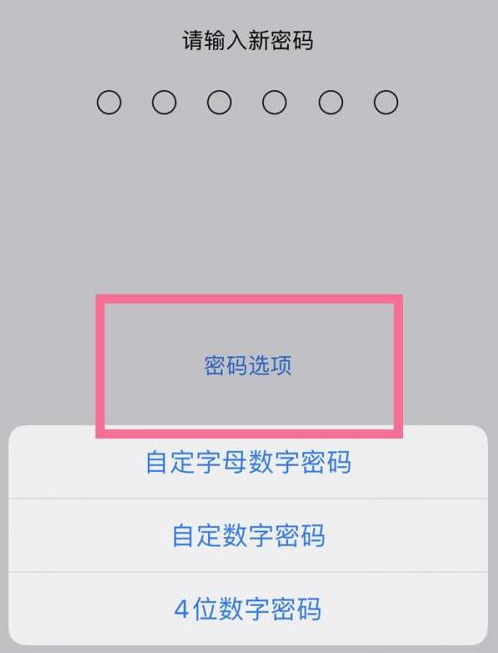 岗巴苹果14维修分享iPhone 14plus设置密码的方法 