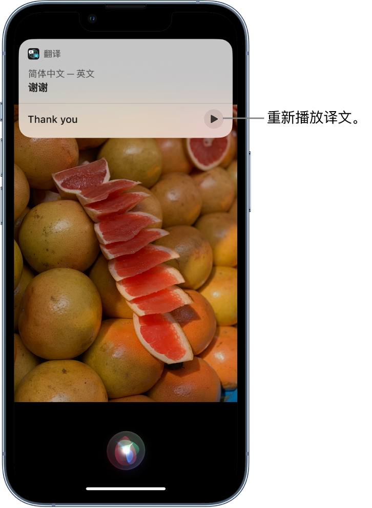 岗巴苹果14维修分享 iPhone 14 机型中使用 Siri：了解 Siri 能帮你做什么 