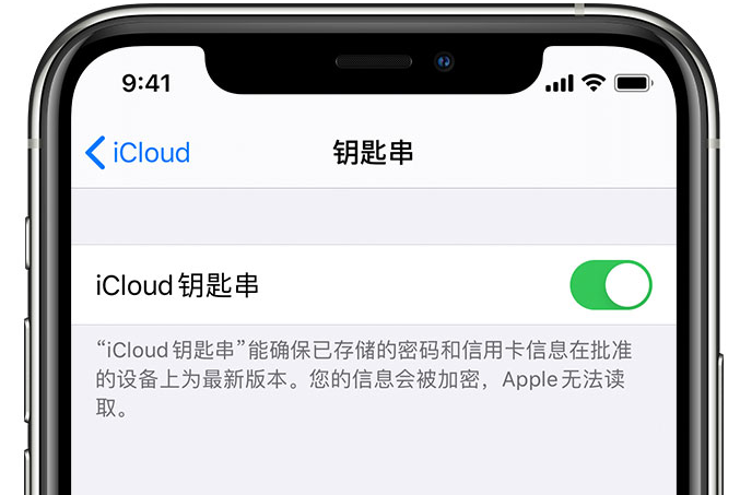 岗巴苹果手机维修分享在 iPhone 上开启 iCloud 钥匙串之后会储存哪些信息 