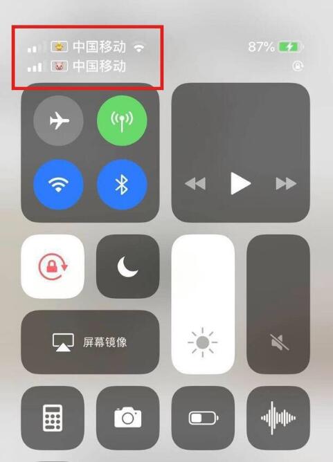 岗巴苹果手机维修分享为 iPhone 12 双卡设置标签 